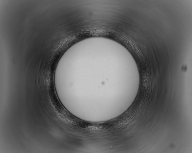 X0000099930690200806201057