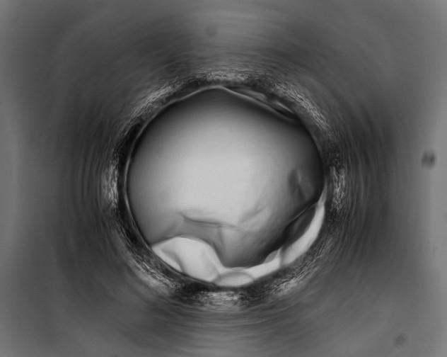 X0000099930692200806201057