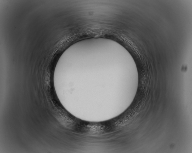 X0000099930693200806201057