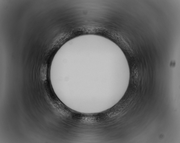 X0000099930694200806201057