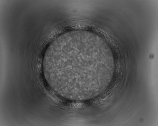 X0000099930695200806201057