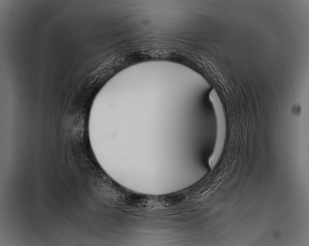 X0000099930697200806201057