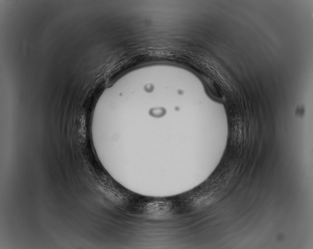 X0000099930700200806201057