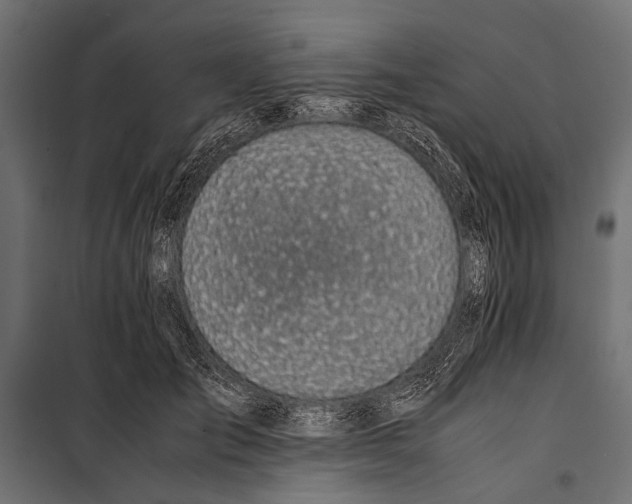 X0000099930701200806201057