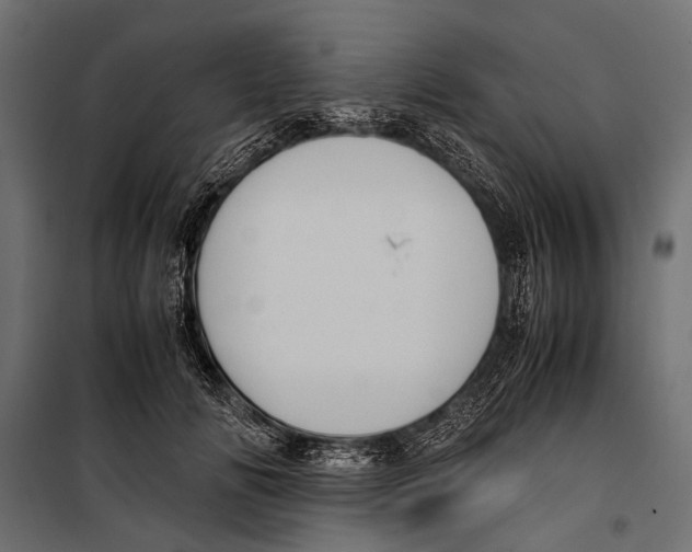 X0000099930702200806201057