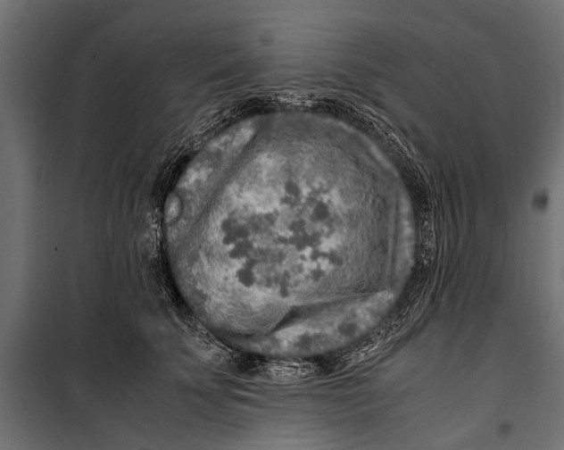 X0000099930707200806201057