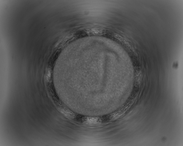 X0000099930709200806201057