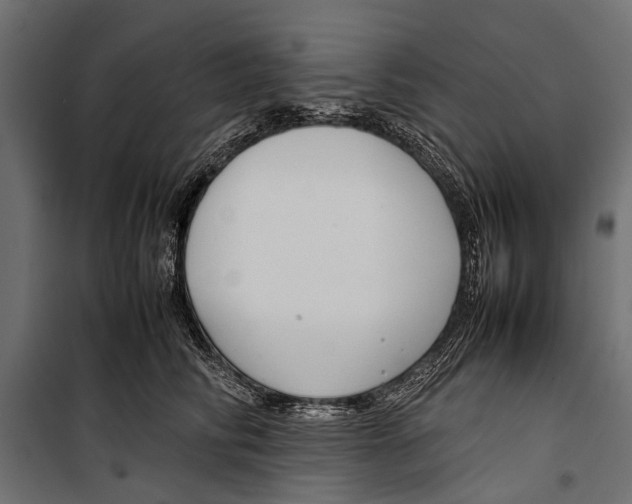 X0000099930710200806201057