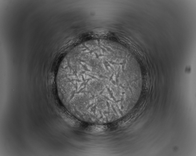 X0000099930711200806201057