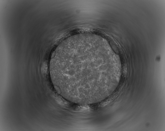 X0000099930715200806201057