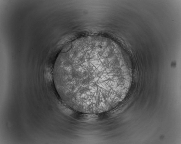 X0000099930719200806201057