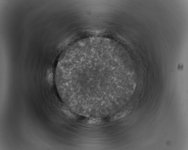 X0000099930720200806201057