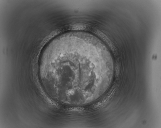 X0000099930721200806201056