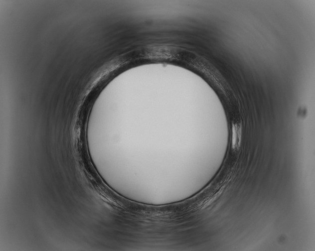 X0000099930723200806201056