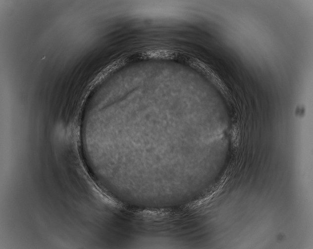 X0000099930725200806201056