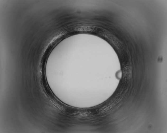 X0000099930727200806201056