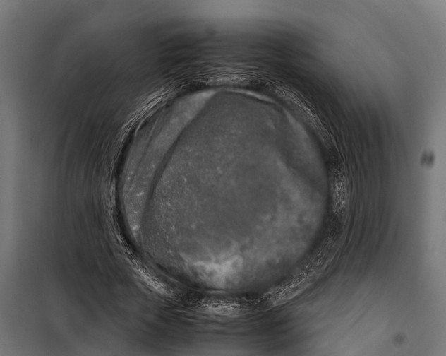 X0000099930729200806201056