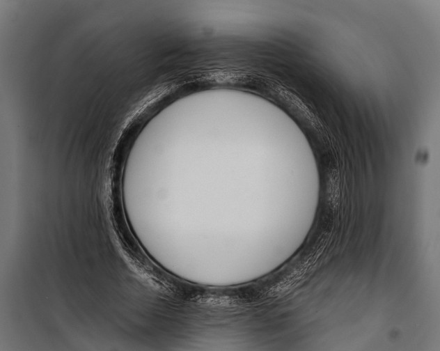 X0000099930730200806201056