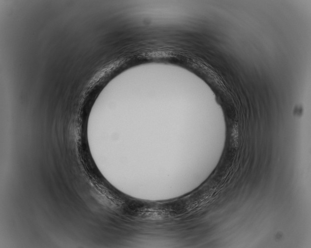 X0000099930732200806201056