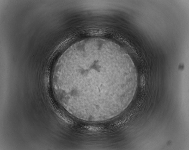 X0000099930733200806201056