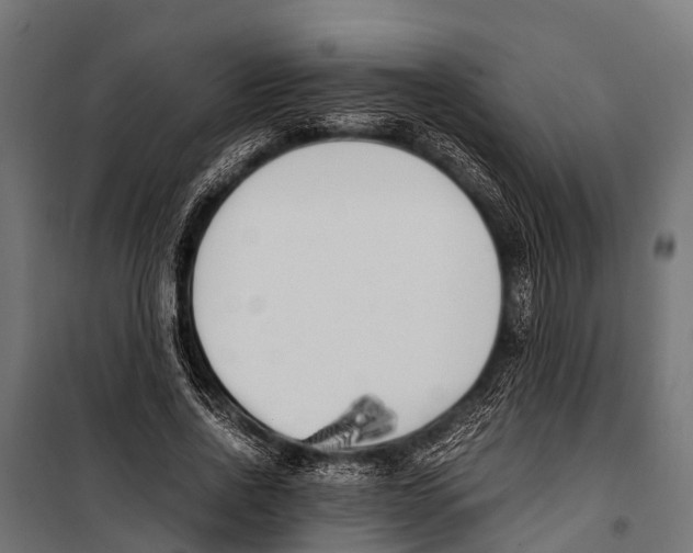 X0000099930734200806201056