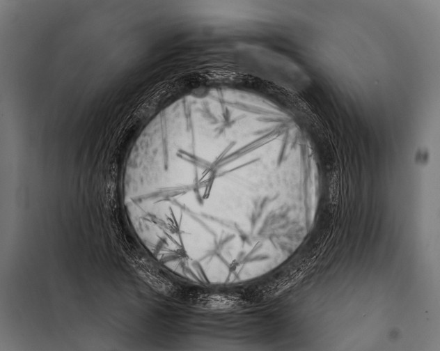 X0000099930737200806201056