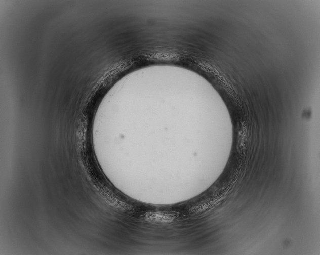 X0000099930739200806201056