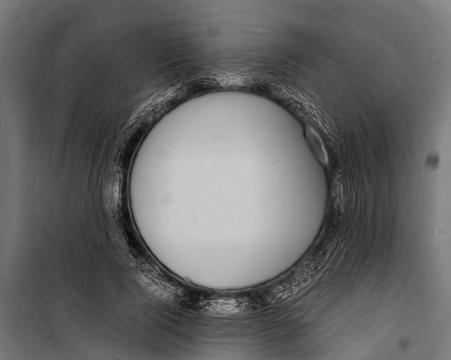 X0000099930740200806201056