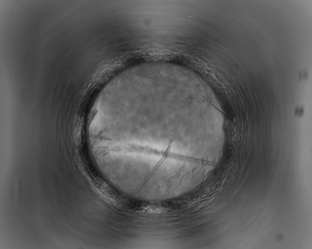 X0000099930742200806201056