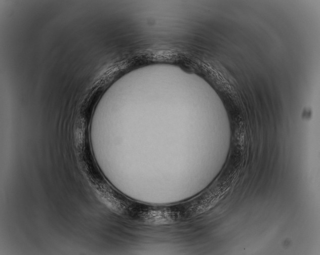 X0000099930744200806201056