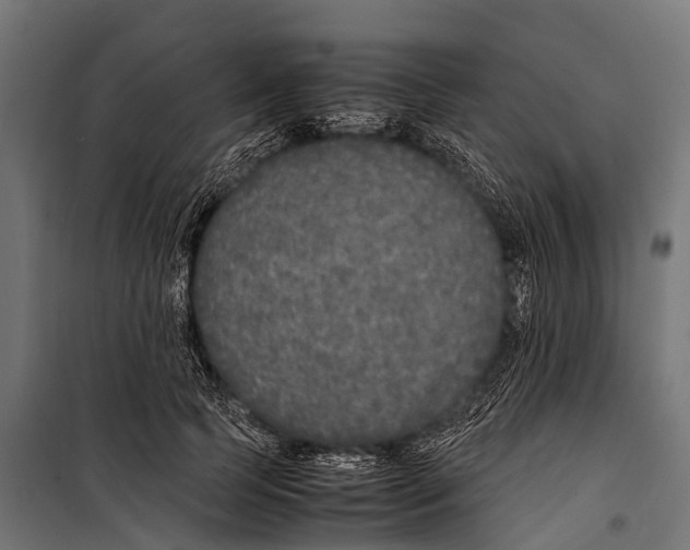 X0000099930745200806201056