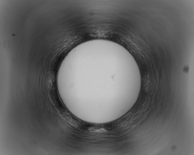 X0000099930747200806201057