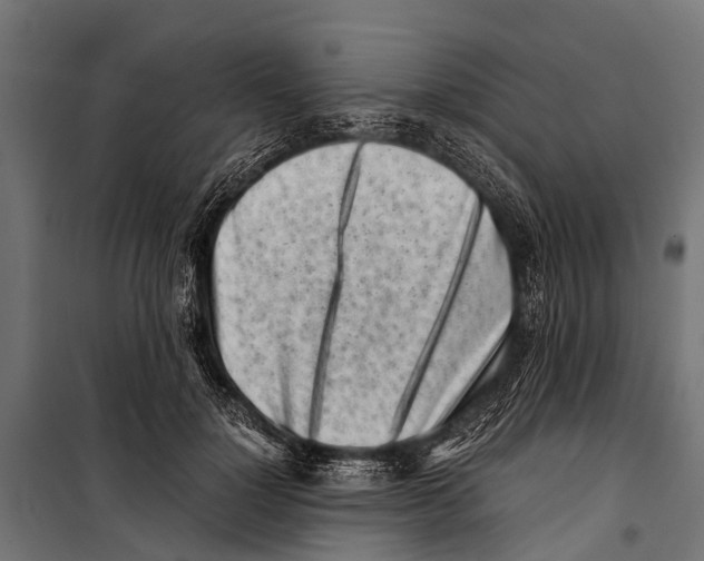 X0000099930748200806201057