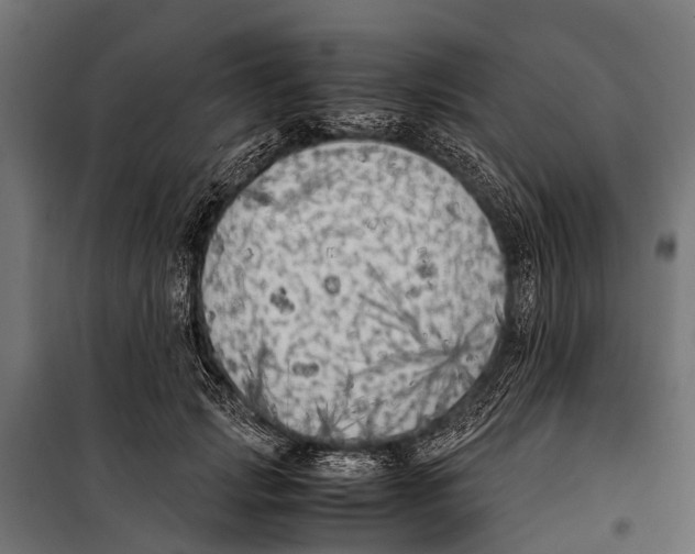 X0000099930749200806201057