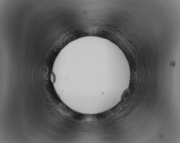 X0000099930750200806201057