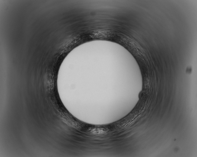 X0000099930751200806201057