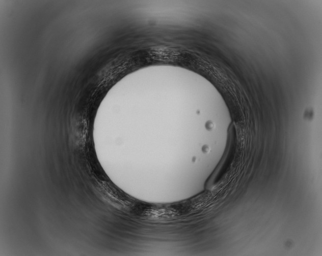 X0000099930752200806201057