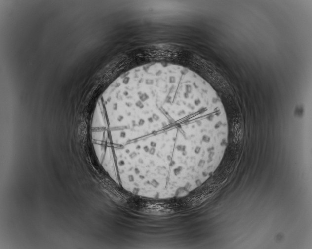 X0000099930753200806201057