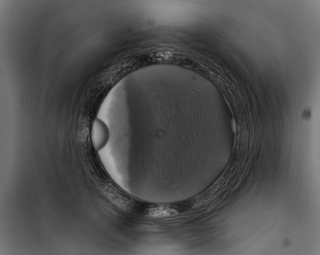 X0000099930754200806201057