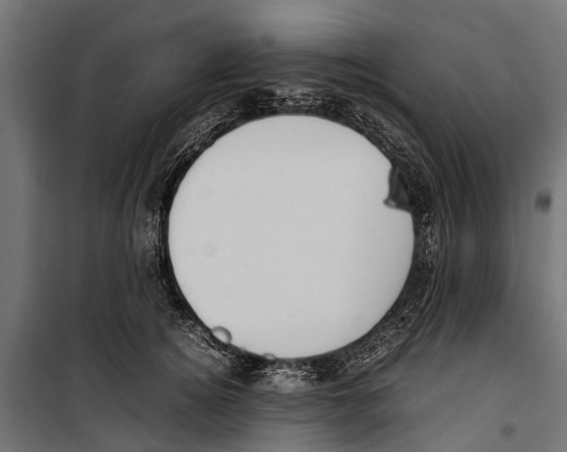 X0000099930756200806201057