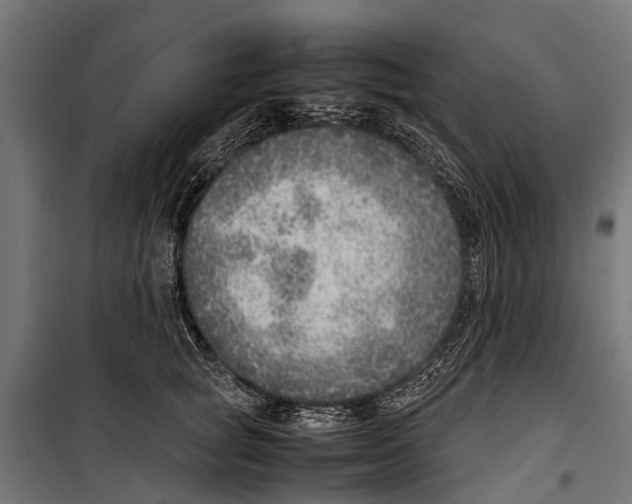 X0000099930757200806201057