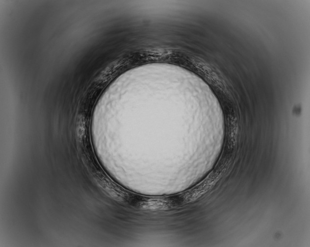 X0000099930758200806201057