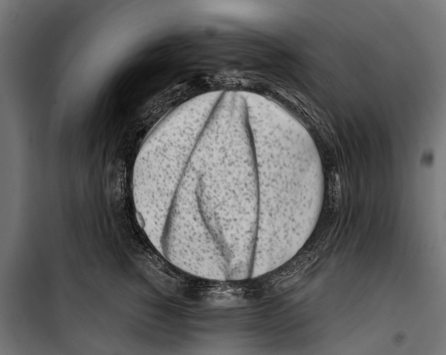 X0000099930760200806201057