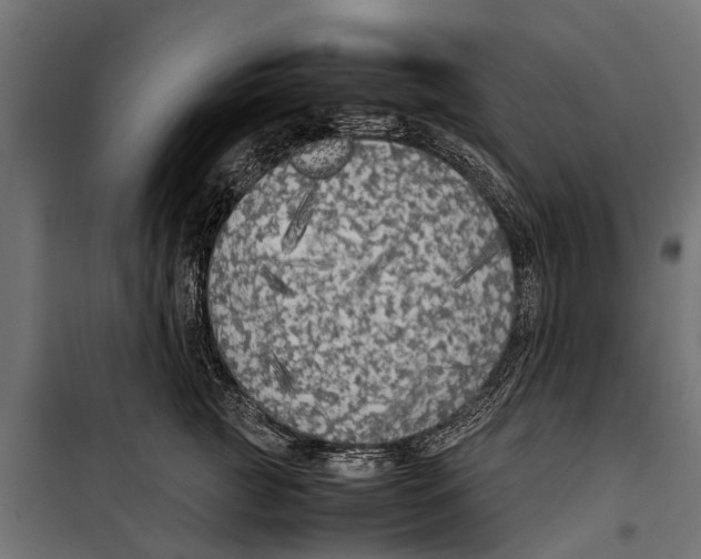 X0000099930761200806201057