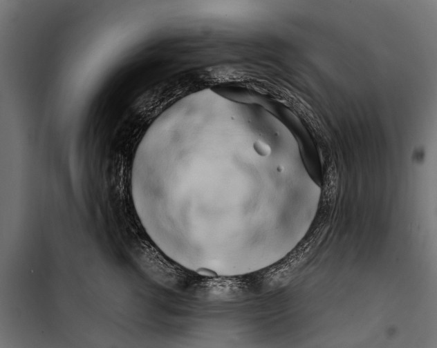 X0000099930762200806201057