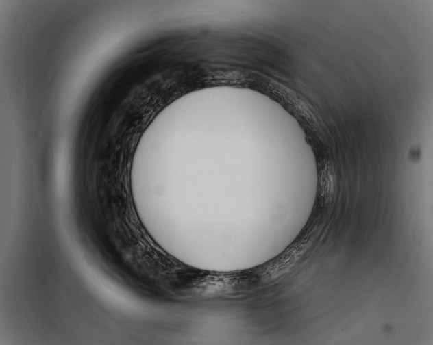 X0000099930764200806201057