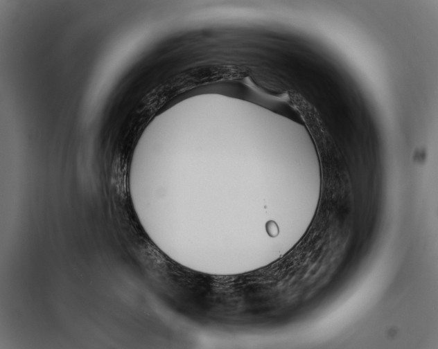 X0000099930766200806201057