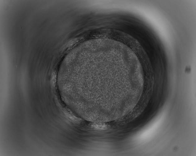 X0000099930767200806201057