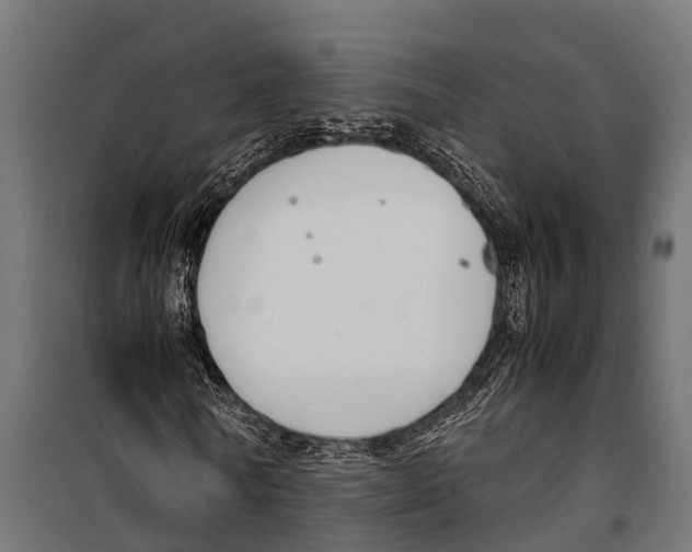 X0000099930770200806201056