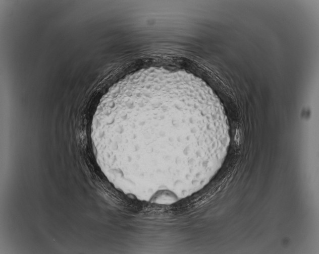 X0000099930771200806201056